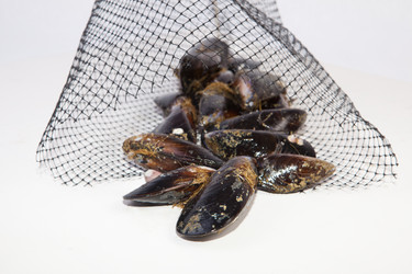 Similar image 11829628