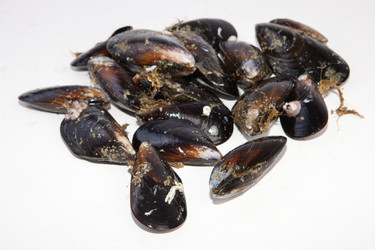 Similar image 11829629