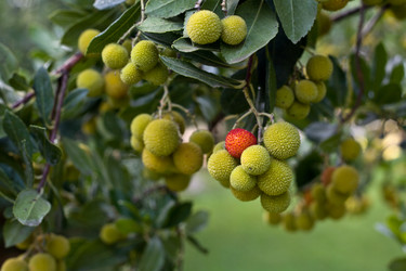 Similar image 11833394