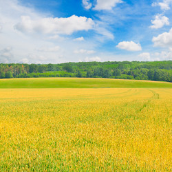 Similar image 11826706