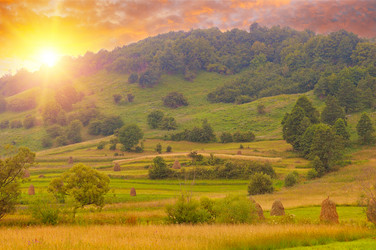 Similar image 11826707