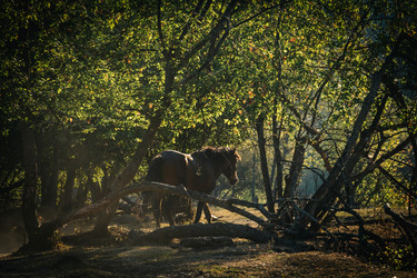 Similar image 11826205