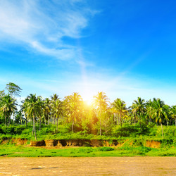 Similar image 11833613