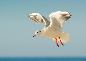 Similar image 11833614