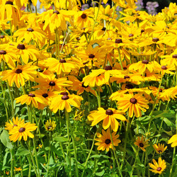 Similar image 11833616