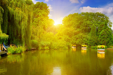 Similar image 11833617