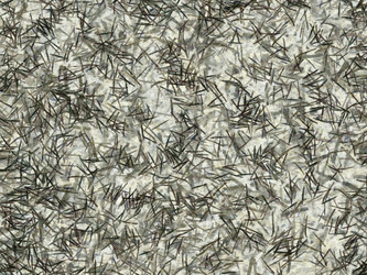 Similar image 11835048