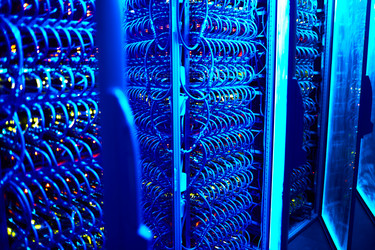 Similar image 11828090