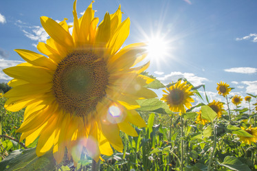 Similar image 11833915