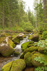 Similar image 11833920