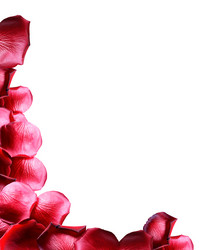 Similar image 11833896