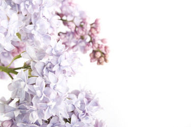 Similar image 11834064