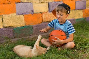 Similar image 11835658