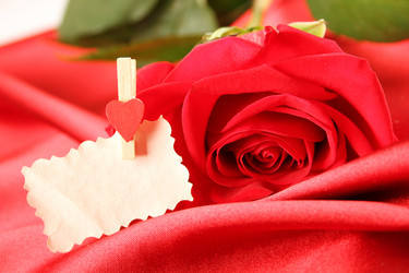 Similar image 11835686