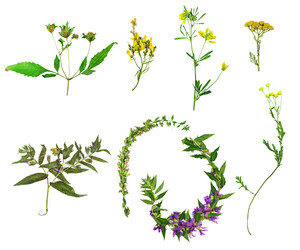 Similar image 11835255