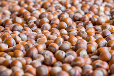 Similar image 11836555