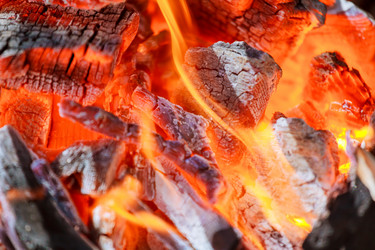 Similar image 11837317