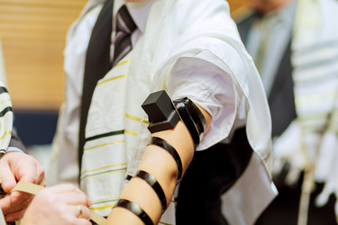 Similar image 11837318