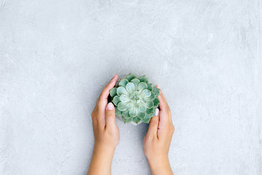 Similar image 11837232