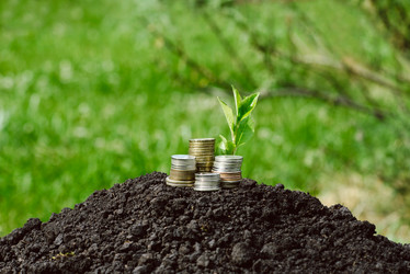 Similar image 11837277