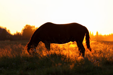 Similar image 11836583