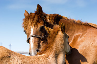 Similar image 11836584