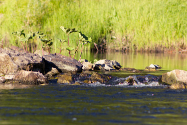 Similar image 11836888