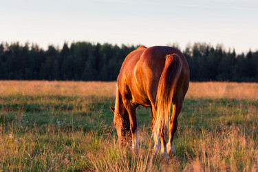 Similar image 11836890