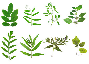 Similar image 11836563