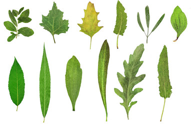 Similar image 11836564