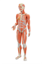 Similar image 11847195