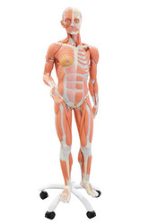 Similar image 11847197