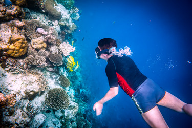 Similar image 11846636