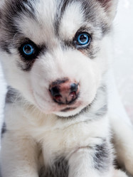 Similar image 11841642