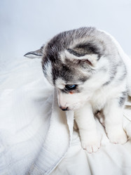 Similar image 11841643