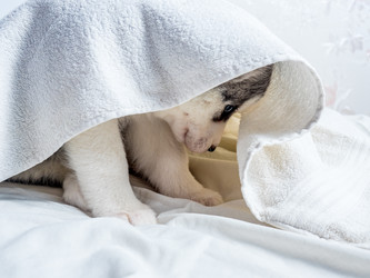 Similar image 11841644