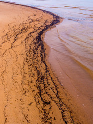 Similar image 11841607