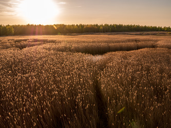 Similar image 11841662