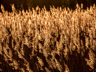 Similar image 11841664