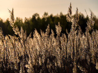 Similar image 11841614