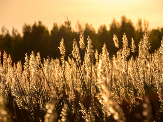 Similar image 11841615