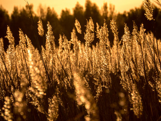 Similar image 11841616