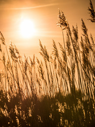 Similar image 11841626