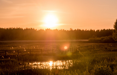 Similar image 11841630