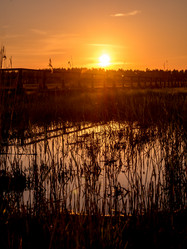 Similar image 11841631