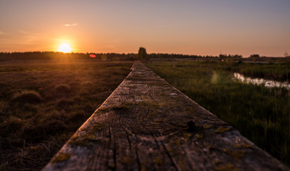 Similar image 11841633