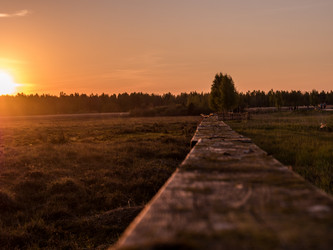 Similar image 11841634