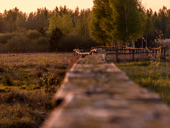 Similar image 11841635