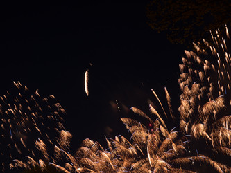 Similar image 11841649