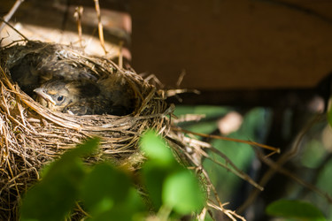 Similar image 11858621